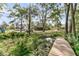 Beautiful backyard with mature trees, green grass, a wooden dock and view of neighboring houses at 107 Jacks Ln, Bonneau, SC 29431