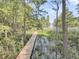 Wooden boardwalk leading through a serene natural landscape of lush greenery and tranquil waters at 107 Jacks Ln, Bonneau, SC 29431