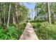 Scenic boardwalk path through lush wetland nature area, close to water at 107 Jacks Ln, Bonneau, SC 29431