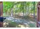 View of lush green trees at edge of property at 1126 Rearick Rd, Johns Island, SC 29455
