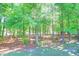 Lots of tall trees growing at edge of property at 1126 Rearick Rd, Johns Island, SC 29455