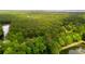Lush green forest with scattered lakes and ponds at 2254 Show Basket Way, Mount Pleasant, SC 29466