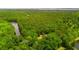 Beautiful areal image of a lush green forest and lake at 2254 Show Basket Way, Mount Pleasant, SC 29466