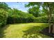Lush green backyard with manicured lawn and mature trees, offering ample space for outdoor activities at 2254 Show Basket Way, Mount Pleasant, SC 29466