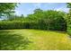 Well-maintained backyard featuring green lawn, mature trees, and privacy landscaping, creating a serene outdoor space at 2254 Show Basket Way, Mount Pleasant, SC 29466