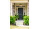 Elegant black front door framed by sidelights and lush plants, enhanced by a modern pendant light at 2254 Show Basket Way, Mount Pleasant, SC 29466