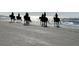Beach scene featuring a group of people riding horses along the shore at 2624 Jenkins Point Rd, Seabrook Island, SC 29455