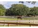 Scenic view of horses grazing peacefully in the fenced pasture under a canopy of trees at 2624 Jenkins Point Rd, Seabrook Island, SC 29455