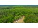 Aerial view of the wooded property at 312 Piney Grove Rd, Cross, SC 29436