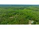 Aerial view of the wooded property with surrounding trees and some homes in the distance at 312 Piney Grove Rd, Cross, SC 29436