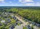 An aerial view of a well-planned neighborhood showcasing manicured lawns and diverse home styles next to a lush green forest at 3801 Canary Ct, North Charleston, SC 29420