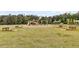 Community playground with various play structures, offering endless fun for children at 512 Pontoon Rd, Huger, SC 29450
