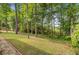 Well maintained back yard with mature trees and lush green grass at 5433 Clearview Dr, North Charleston, SC 29420