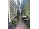 A serene backyard features lush greenery, plants, and a cozy outdoor seating area at 9 West St # 1, Charleston, SC 29401