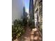 Backyard view with lush plants, trees and brick pathway in between neighboring homes at 9 West St # 1, Charleston, SC 29401