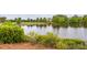 Picturesque pond surrounded by lush landscaping and mature trees, creating a serene atmosphere at 107 Clear Bend Ln, Summerville, SC 29486
