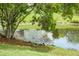 Peaceful lake view from the backyard with ducks enjoying a sunny day by the water at 1485 Endicot Way, Mount Pleasant, SC 29466