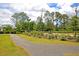 Well-maintained community grounds with a gravel path and lush landscaping at 1505 Fort Palmetto Cir, Mount Pleasant, SC 29466