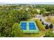 Aerial view of two well-maintained tennis courts surrounded by lush greenery in a residential community at 2021 Arundel Pl, Mount Pleasant, SC 29464