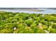 Scenic aerial view of the community's lush, tree-filled surroundings at 2169 Westrivers Rd, Charleston, SC 29412