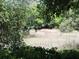 A green lush view of a grassy pond surrounded by reeds, trees, and bushes, creating a peaceful natural sanctuary at 2169 Westrivers Rd, Charleston, SC 29412