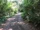 The leafy shaded walking trail is lined with trees and vegetation, creating a peaceful escape surrounded by nature at 2169 Westrivers Rd, Charleston, SC 29412