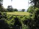 Scenic waterfront lot with beautiful water views and lush trees, perfect for building at 2169 Westrivers Rd, Charleston, SC 29412