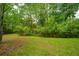 Lush backyard with mature trees and green lawn at 225 River Oak Dr, Mount Pleasant, SC 29464