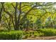 Community playground surrounded by lush greenery and mature trees at 225 River Oak Dr, Mount Pleasant, SC 29464