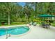 Private backyard oasis featuring a pool, lounge chairs, and lush landscaping with palm trees at 225 River Oak Dr, Mount Pleasant, SC 29464