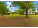 Spacious backyard with mature trees, outbuildings, and room for outdoor activities and enjoyment at 285 Roosevelt Dr, Saint Stephen, SC 29479