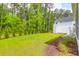 Well-maintained backyard with green lawn, mature trees, and manicured landscaping at 3587 Goodwater St, Mount Pleasant, SC 29466