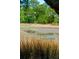 View of the marsh featuring tall grass and water at 380 Tidal Reef Cir, Mount Pleasant, SC 29464