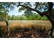 Scenic view from property showcasing serene water views framed by mature trees, enhancing the property's natural beauty at 380 Tidal Reef Cir, Mount Pleasant, SC 29464