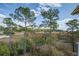 Backyard view overlooking marshland, trees, and open water beneath a partly cloudy sky at 4303 Misty Hollow Ln, Ravenel, SC 29470