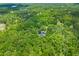Aerial shot shows house nestled in a dense, green forest with a body of water at 6035 Bay Pond Rd, Ravenel, SC 29470