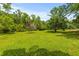 Expansive backyard featuring a lush green lawn and mature trees, perfect for outdoor activities at 6035 Bay Pond Rd, Ravenel, SC 29470