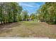 Expansive backyard with mature trees and a storage shed, perfect for outdoor activities and enjoying nature at 9666 Jamison Rd, Ladson, SC 29456