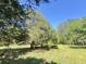 Lush backyard with mature trees, partially fenced, and well-maintained lawn at 1425 Risher Mountain Rd, Walterboro, SC 29488
