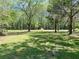 View of large front yard featuring mature shade trees and green grass at 1425 Risher Mountain Rd, Walterboro, SC 29488