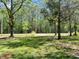 View of the large open front yard with mature trees at 1425 Risher Mountain Rd, Walterboro, SC 29488