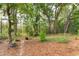 Backyard features a stone path, lush landscaping, and privacy at 148 Cowrie Ct, Mount Pleasant, SC 29464