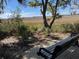 Picturesque park bench overlooking a serene marsh landscape with native vegetation on a clear day at 148 Cowrie Ct, Mount Pleasant, SC 29464