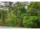 Lush greenery seen from the home is filled with trees and shrubs at 148 Cowrie Ct, Mount Pleasant, SC 29464