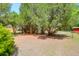 Lush backyard with mature trees and a shed at the property's edge at 1575 Langston Dr, Johns Island, SC 29455