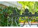 Decorative iron fence with climbing vines, adding charm to the property at 172 Tradd St, Charleston, SC 29401