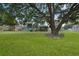 Spacious, grassy backyard featuring mature trees, offering ample outdoor space at 33 Elliott Ct, Walterboro, SC 29488