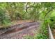 A lush, natural landscape view with dirt path and surrounding greenery, showcasing the property's outdoor ambiance at 344 Lantana Dr, Charleston, SC 29407