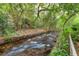 Beautiful lush, natural landscape view with stream and surrounding greenery, showcasing the property's outdoor ambiance at 344 Lantana Dr, Charleston, SC 29407