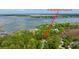 Aerial view of 3738 Station Point Ct property surrounded by mature trees near a beautiful waterfront community at 3738 Station Point Ct, Mount Pleasant, SC 29466